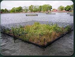 Aquatic Habitat Enhancements