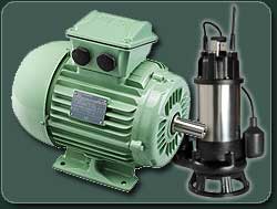 Motors & Pumps Repairs/Service